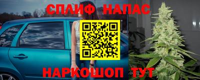 эйфоретик Сланцы