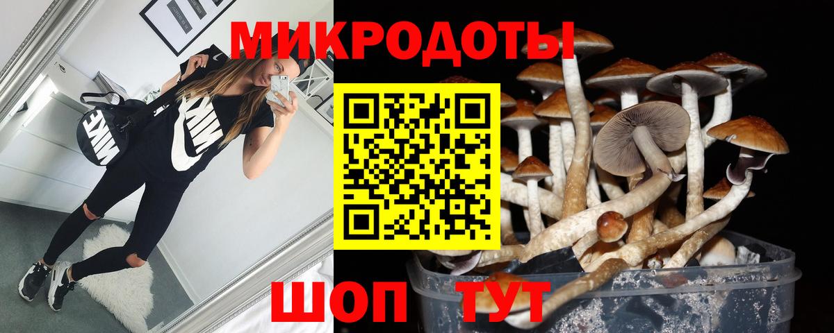 Галлюциногенные грибы GOLDEN TEACHER  Вход с VPN  Псилоцибиновые грибы Psilocybine cubensis  Муравленко 