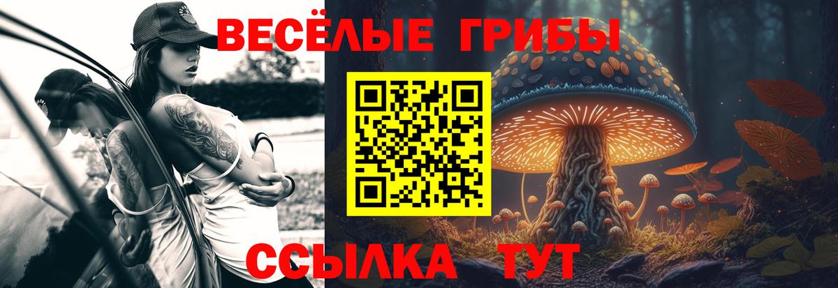 Псилоцибиновые грибы GOLDEN TEACHER Муравленко